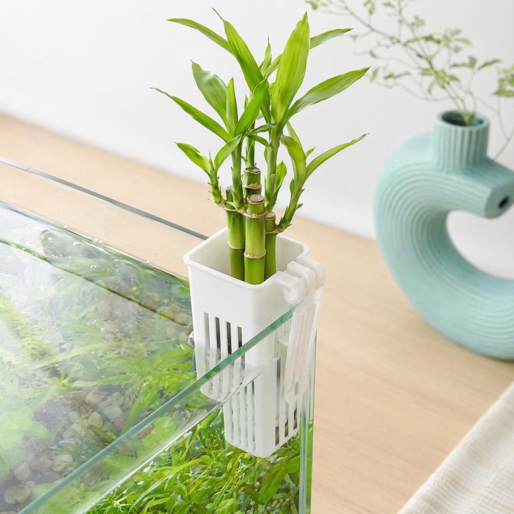 Aquarium Planted Wall - タンクプラントコンテナ水耕栽培カッププラントホルダー壁掛け水生植物ポット水槽プランターポット水槽装飾
