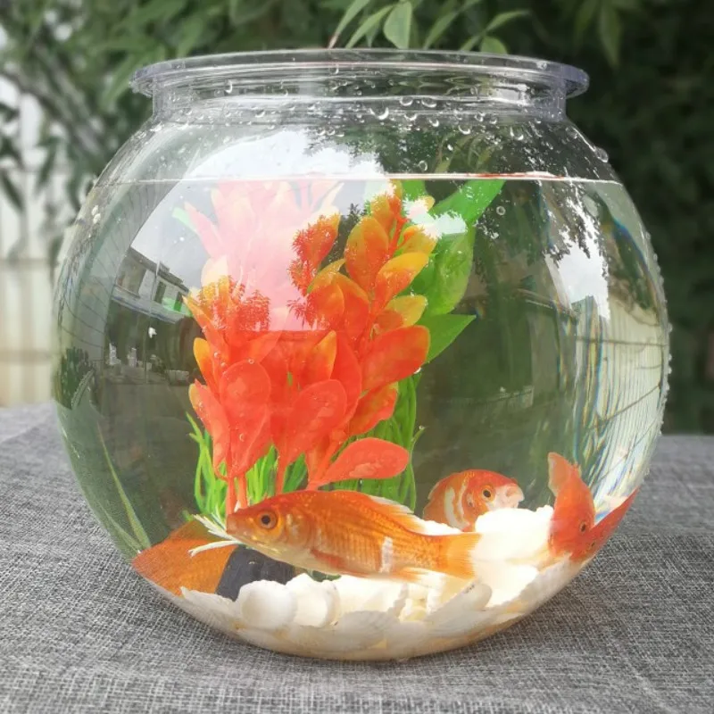 Planted Aquarium Bowl - 透明なプラスチック製の水族館の緑の植木鉢,金色の魚のボウル,丸いカメのタンク,アクリル