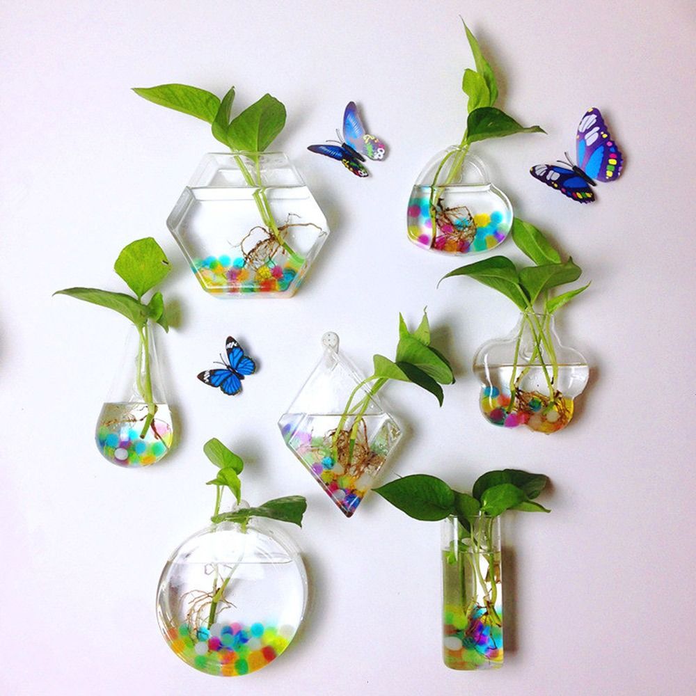 Aquarium Planted Wall - 円錐形の壁掛け花瓶 透明な水槽 壁掛けプランター 植物ホルダー 水耕栽培植物 水槽容器