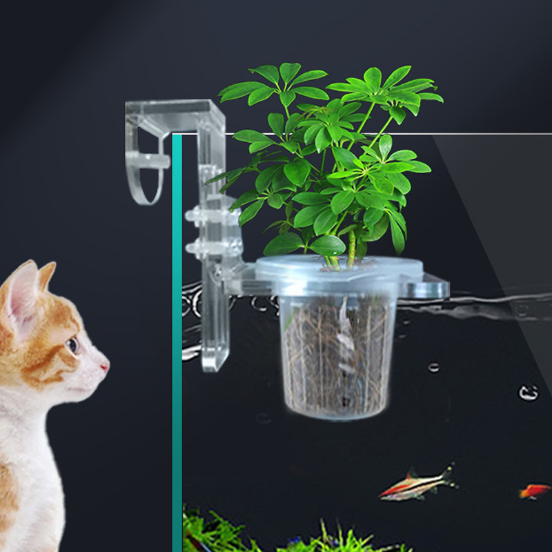 Aquarium Planted Wall - 水槽植栽カップ水耕サポートバスケット水草水生植物ホルダー壁掛け植木鉢水族館アクセサリー