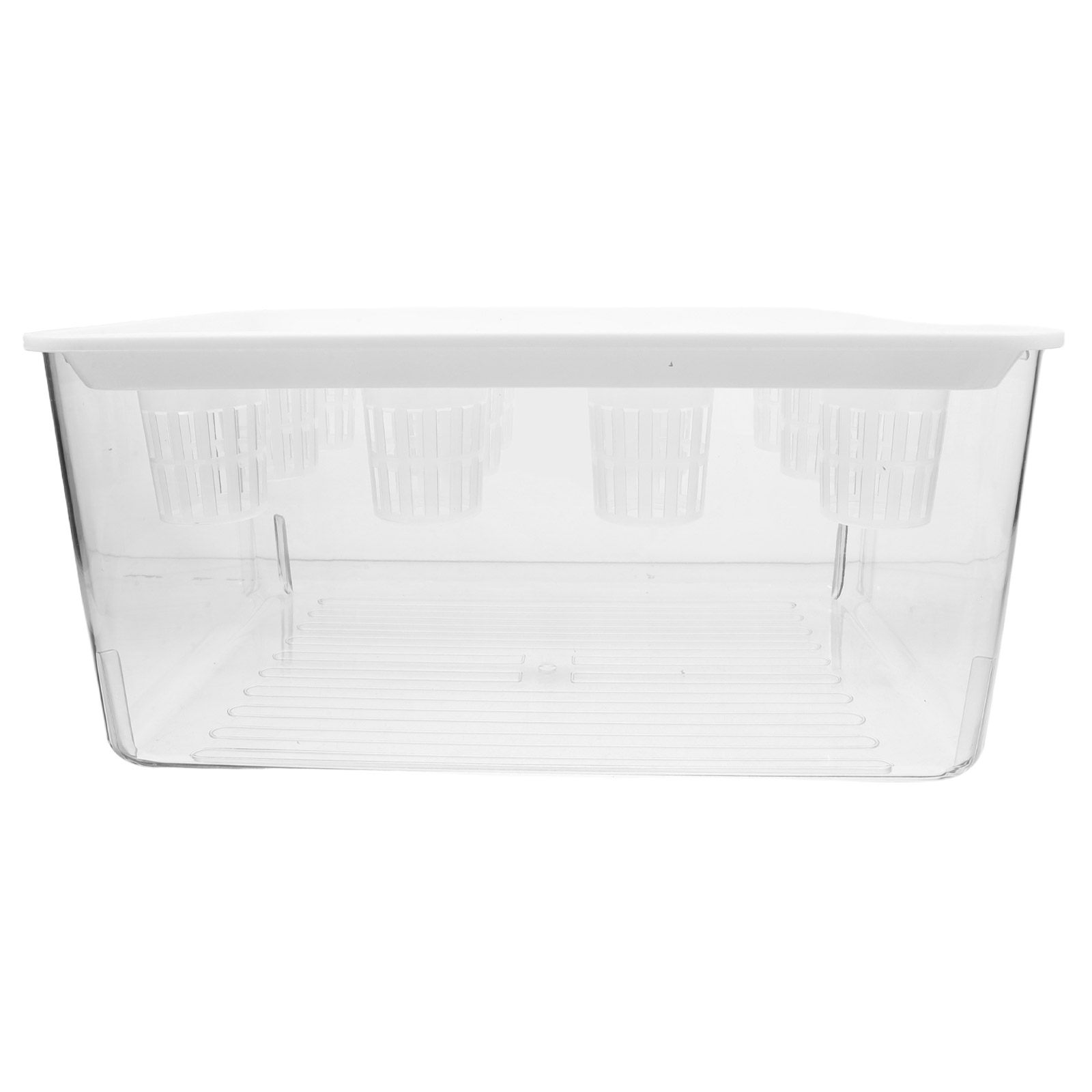 Planted Aquarium Bowl - 1セット 透明な土を使わない水槽 バルコニーガーデン水生植物用 デスクトップ用 透明な縁なし水槽 小型金魚鉢装飾