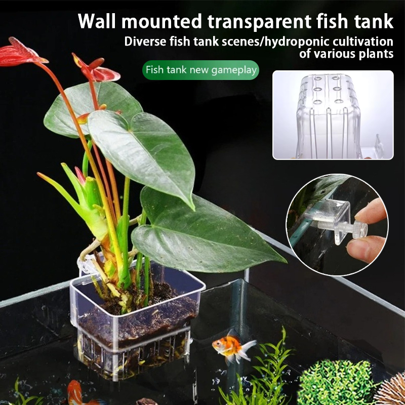 Aquarium Planted Wall - 水槽吊り下げプランターカップ 壁掛け水生植物ホルダー 水槽プランターバスケット 魚タンク植物ポット 魚タンク ペセドラ