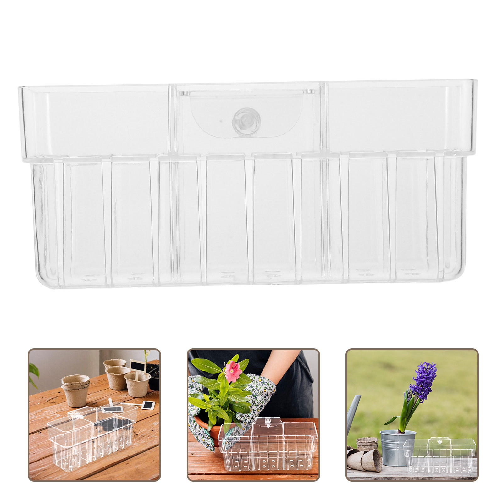 Aquarium Planted Wall - 透明な3区画水耕栽培用植物バスケット 壁掛け式水槽植物ホルダー 魚タンク水生植物装飾アクセサリー