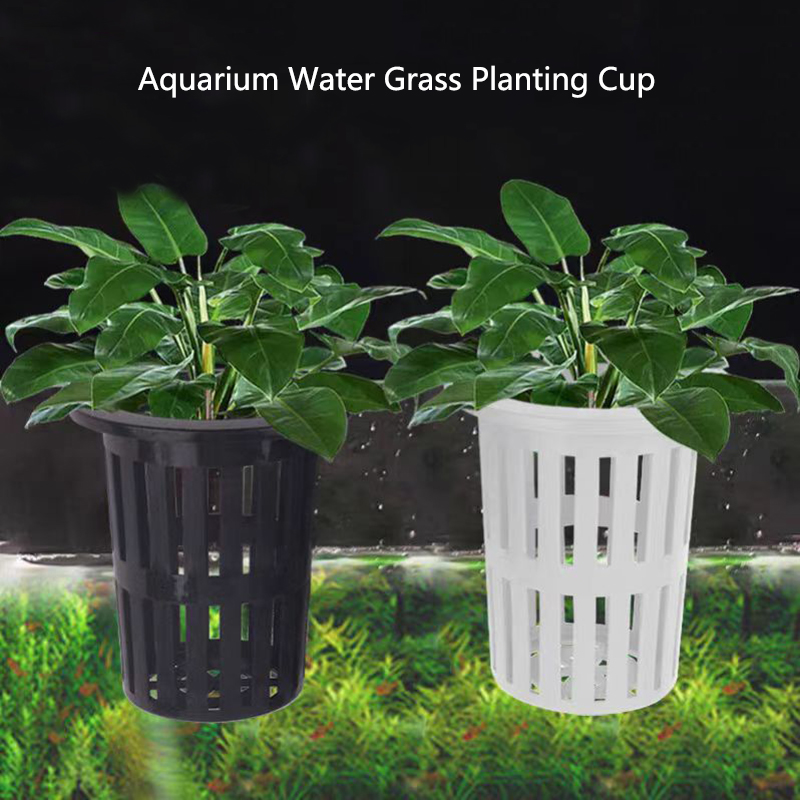 Aquarium Planted Wall - 1/3 個水族館植物バスケット壁掛け水耕吊りプランター水槽水生水植物ホルダー吊り下げフック付き