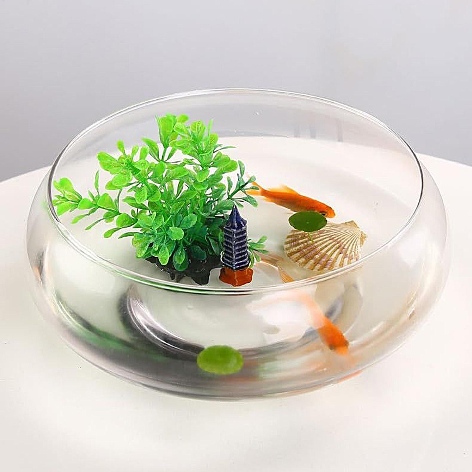 Planted Aquarium Bowl - 魚用ガラスボウル ガラス製大型水耕栽培フラワーポット 浅い丸型幅広植物ボウル 小型水槽 透明金魚鉢