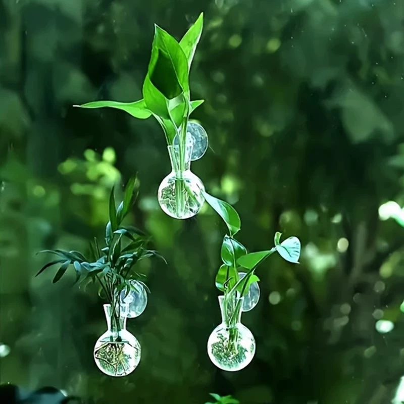 Aquarium Planted Wall - 創造的な半円形の壁掛け花瓶、フラワープレート、植物水耕栽培水槽、壁掛け水槽、水槽、家の装飾