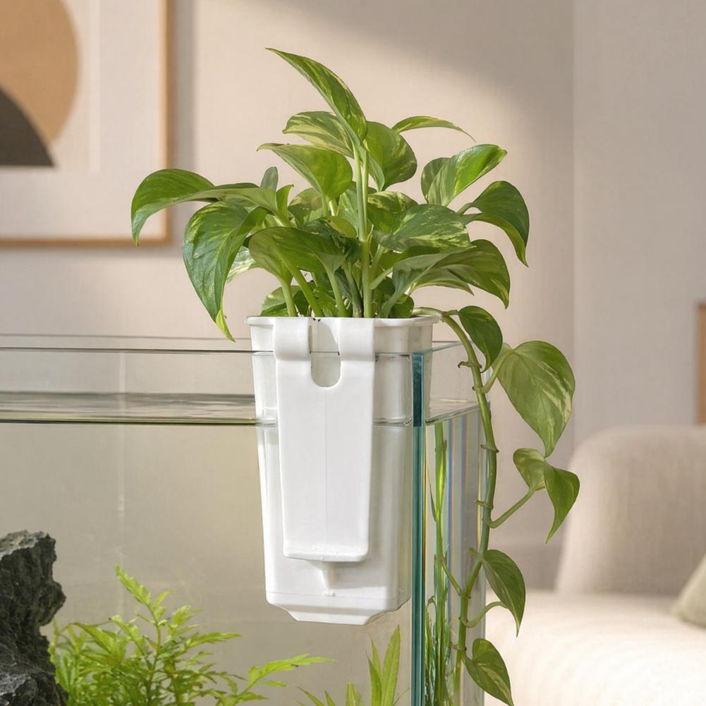 タンクプラントコンテナ水耕栽培カッププラントホルダー壁掛け水 - Aquarium Planted Wall のレビューと価格