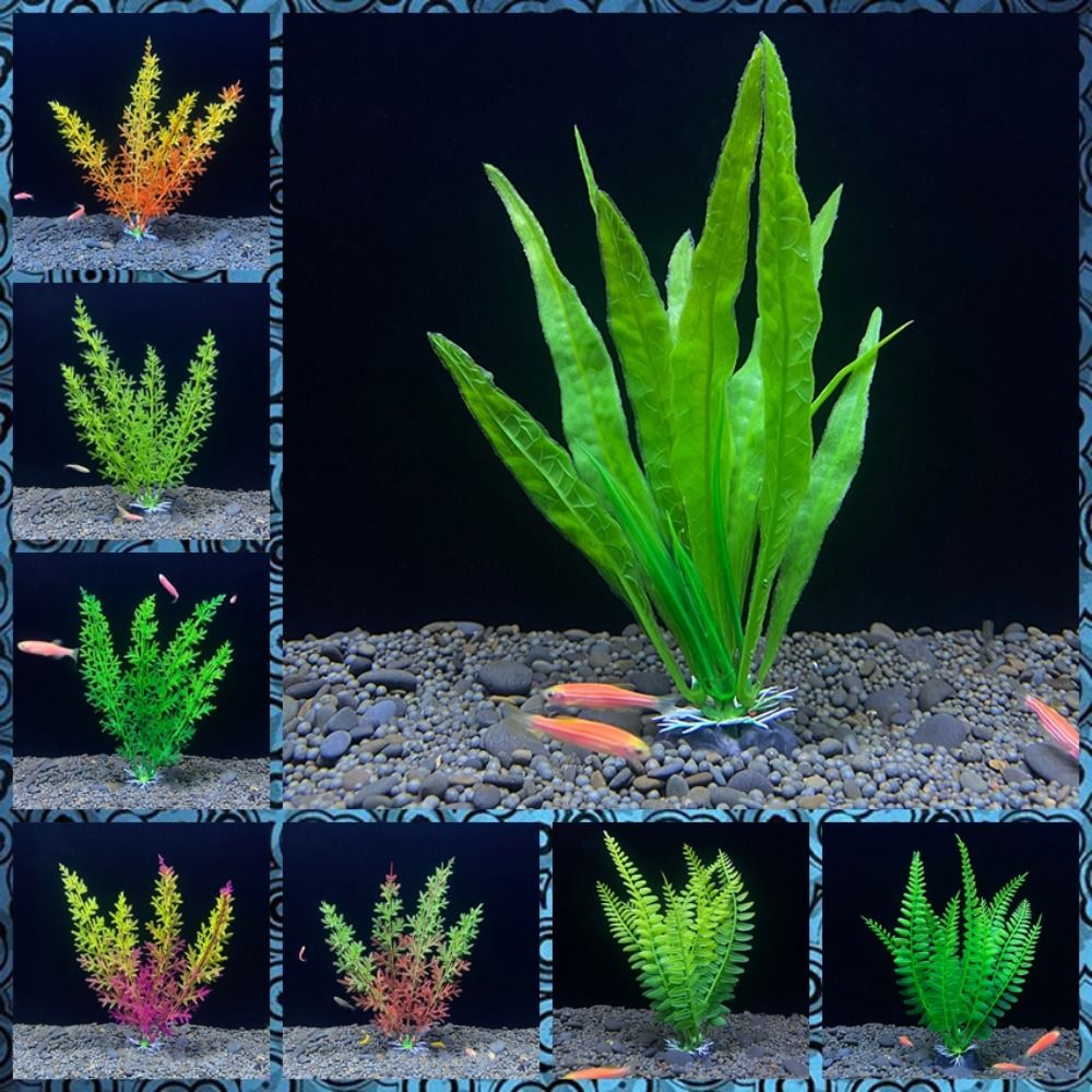 水族館の装飾のための水槽の装飾、人工植物、水、草、魚のボウル - Planted Aquarium Bowl のレビューと価格