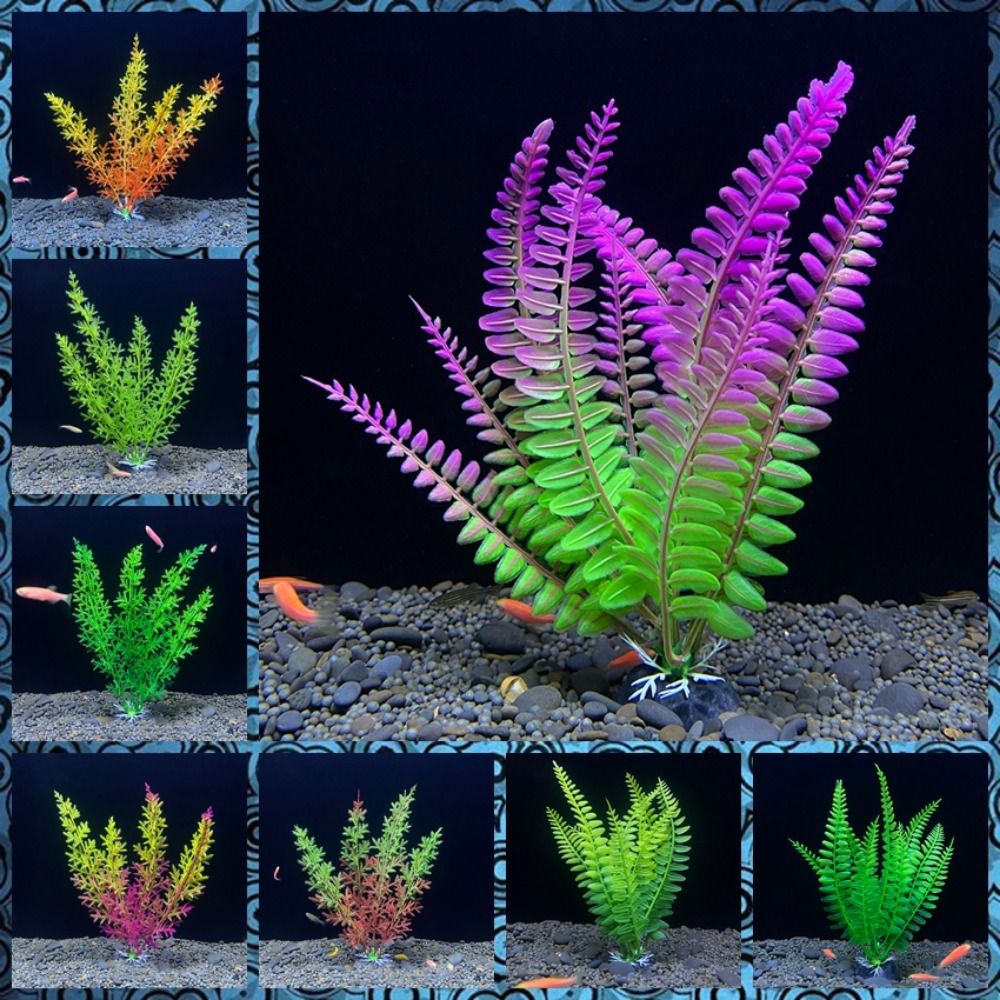 水族館の装飾のための水槽の装飾、人工植物、水、草、魚のボウル - Planted Aquarium Bowl のレビューと価格