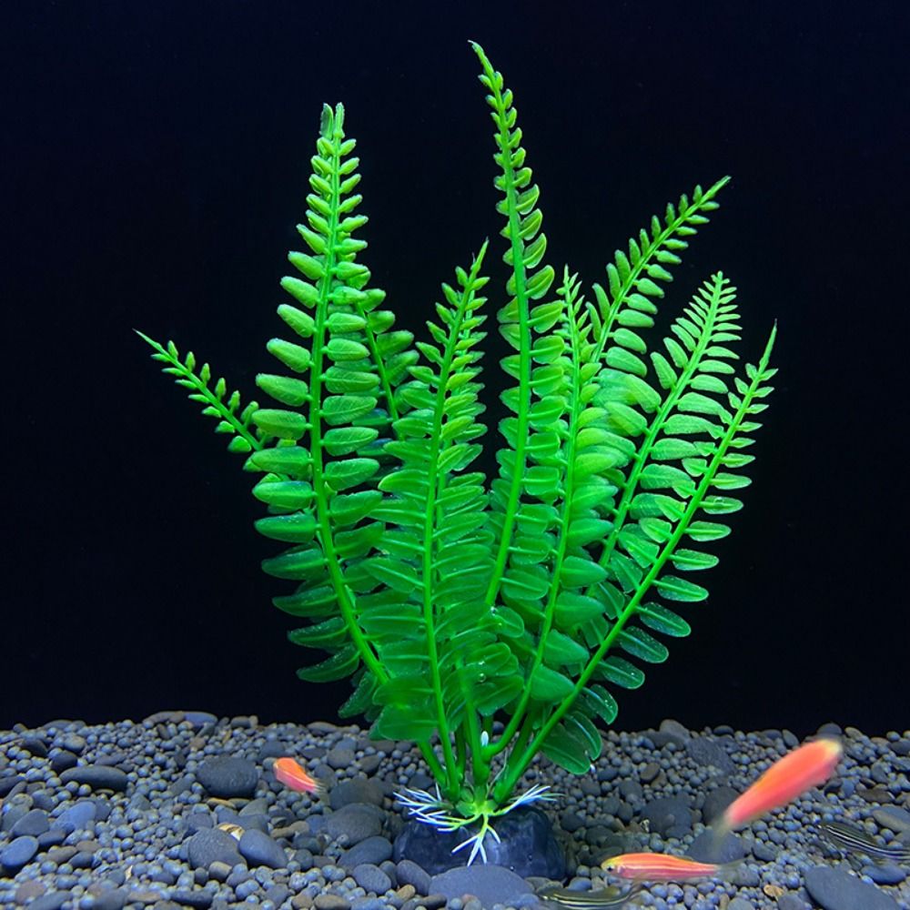 水族館の装飾のための水槽の装飾、人工植物、水、草、魚のボウル - Planted Aquarium Bowl のレビューと価格