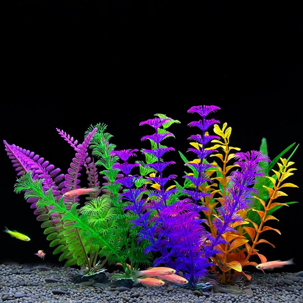 水族館の装飾のための水槽の装飾、人工植物、水、草、魚のボウル - Planted Aquarium Bowl のレビューと価格