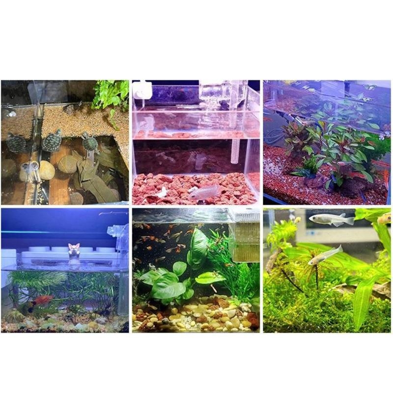 小型水族館の水槽ライト LED 便利な充電式クリップ造園ライ - Planted Aquarium Bowl のレビューと価格