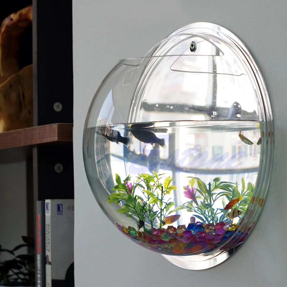 壁掛けアクリル水槽 透明 吊り下げ式水槽 壁掛け水槽 植木鉢 - Planted Aquarium Bowl のレビューと価格