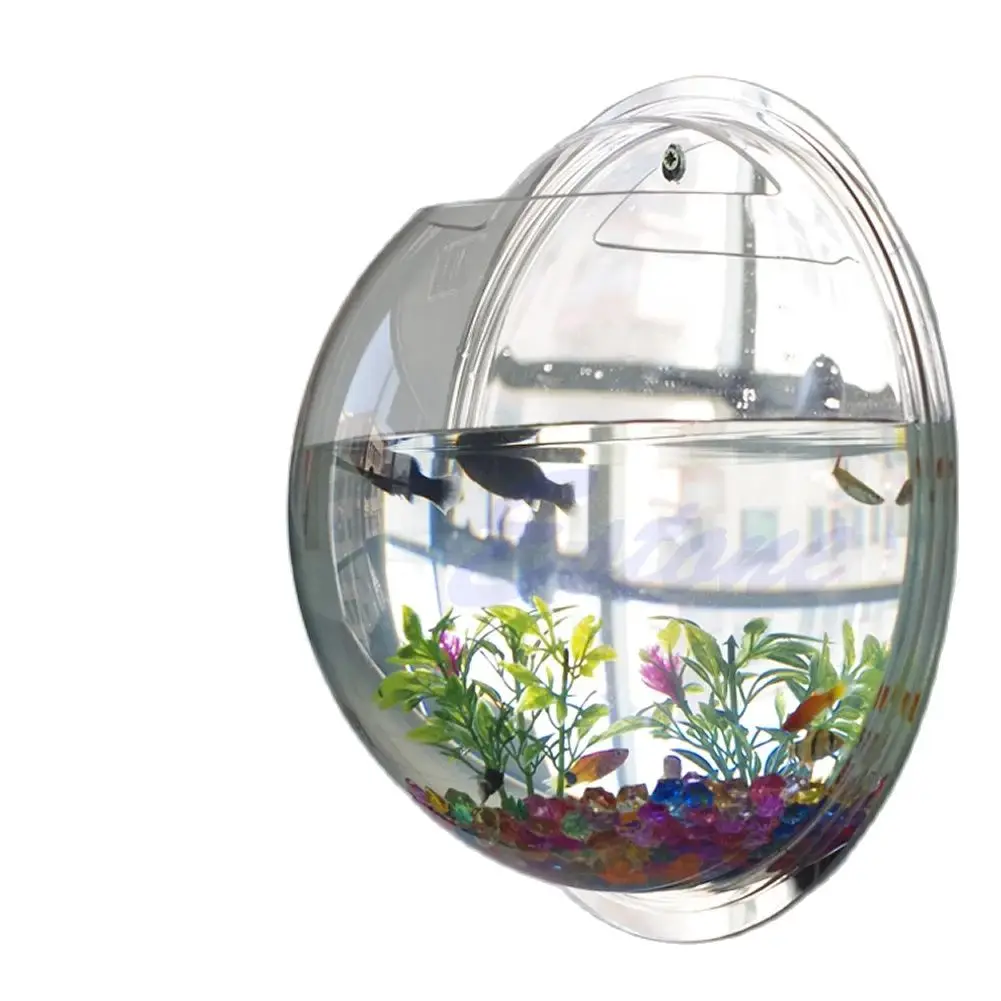 壁掛けアクリル水槽 透明 吊り下げ式水槽 壁掛け水槽 植木鉢 - Planted Aquarium Bowl のレビューと価格