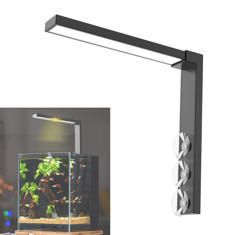 小さな魚のボウル、デスクトップ水族館、軽くたたく、堆肥化植物 - Planted Aquarium Bowl のレビューと価格