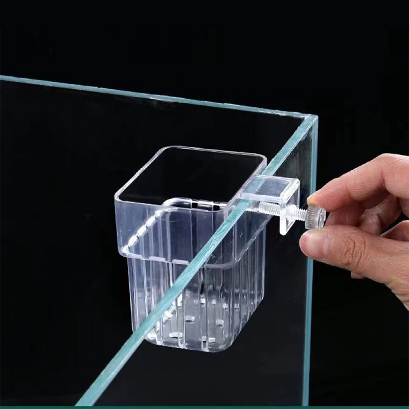 壁掛け式水耕栽培カップ 水草用透明容器 水槽や家庭の造園に最 - Aquarium Planted Wall のレビューと価格