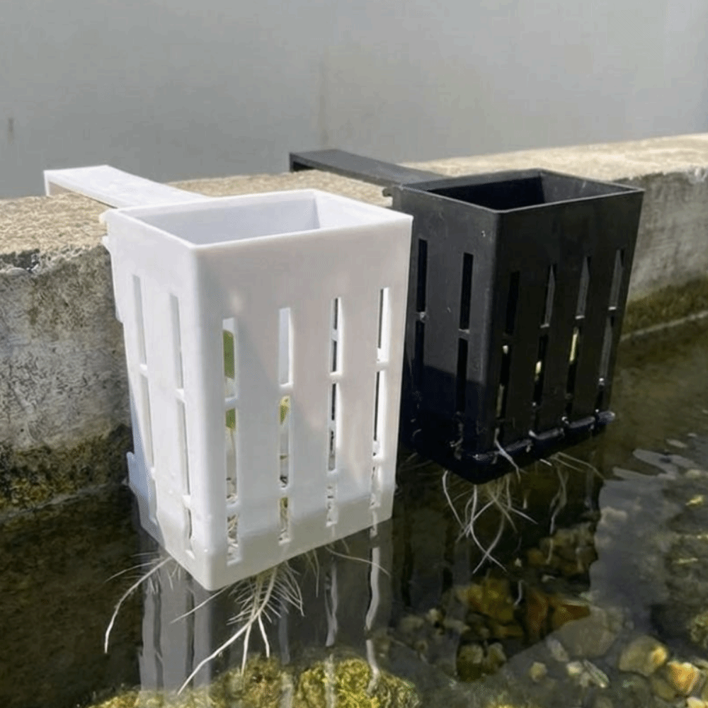 壁掛け水槽用植物バスケット 水耕栽培プランター プランターコ - Aquarium Planted Wall のレビューと価格
