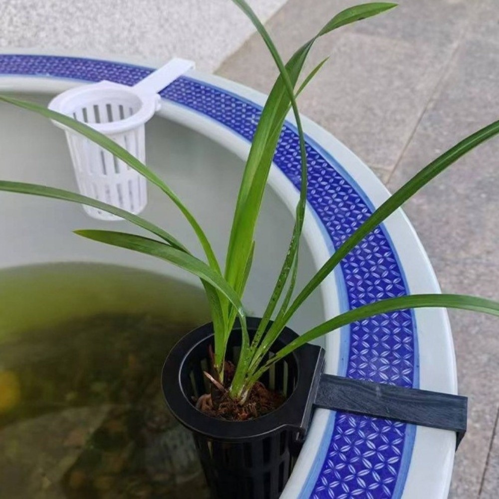 壁掛け水槽用植物バスケット 水耕栽培プランター プランターコ - Aquarium Planted Wall のレビューと価格