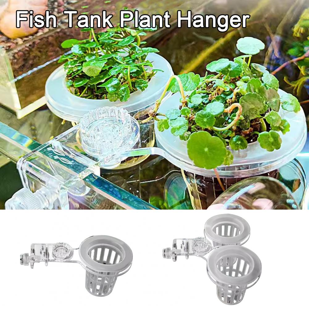 水族館植物ホルダー壁掛け水耕植物バスケット水草植栽スタンド水 - Aquarium Planted Wall のレビューと価格