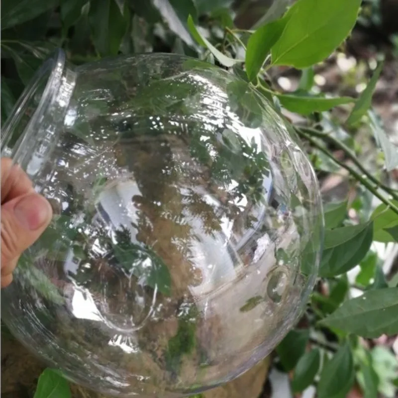 透明なプラスチック製の水族館の緑の植木鉢,金色の魚のボウル, - Planted Aquarium Bowl のレビューと価格