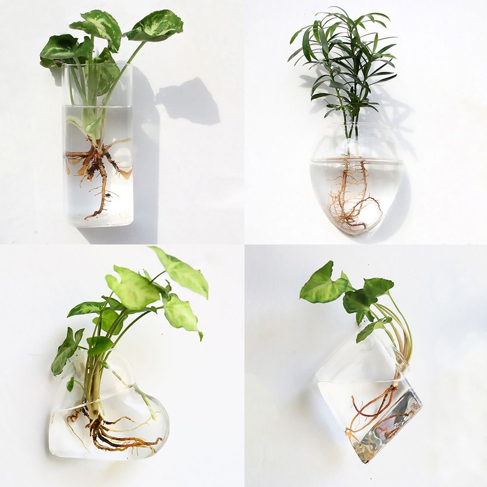 円錐形の壁掛け花瓶 透明な水槽 壁掛けプランター 植物ホルダ - Aquarium Planted Wall のレビューと価格