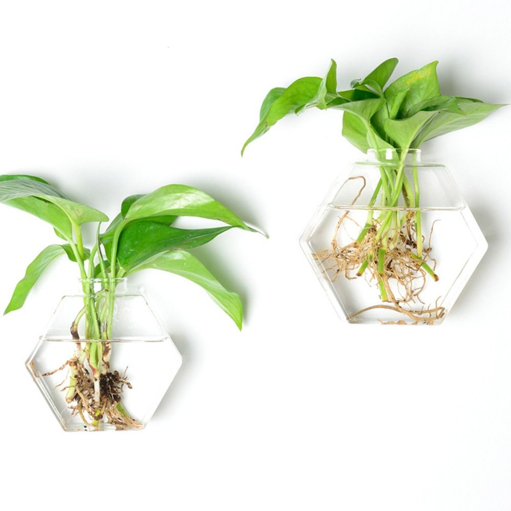 円錐形の壁掛け花瓶 透明な水槽 壁掛けプランター 植物ホルダ - Aquarium Planted Wall のレビューと価格