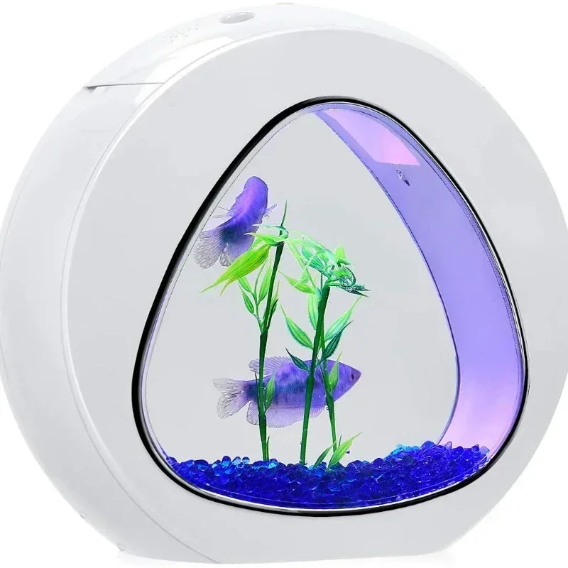ベタ水槽、LEDライトと電源フィルター付きの魚水槽、人工水生 - Planted Aquarium Bowl のレビューと価格
