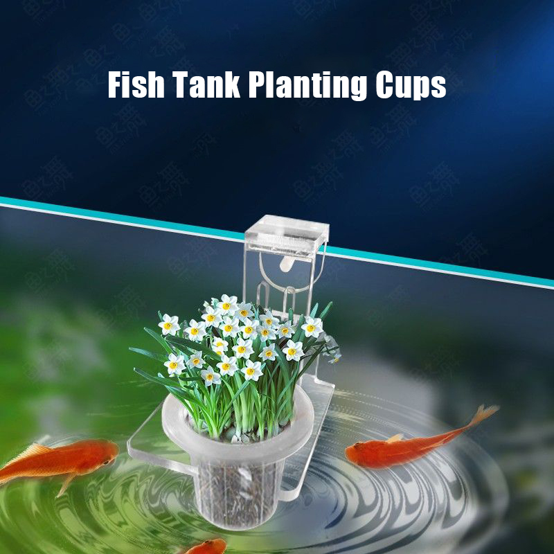 水槽植栽カップ水耕サポートバスケット水草水生植物ホルダー壁掛 - Aquarium Planted Wall のレビューと価格