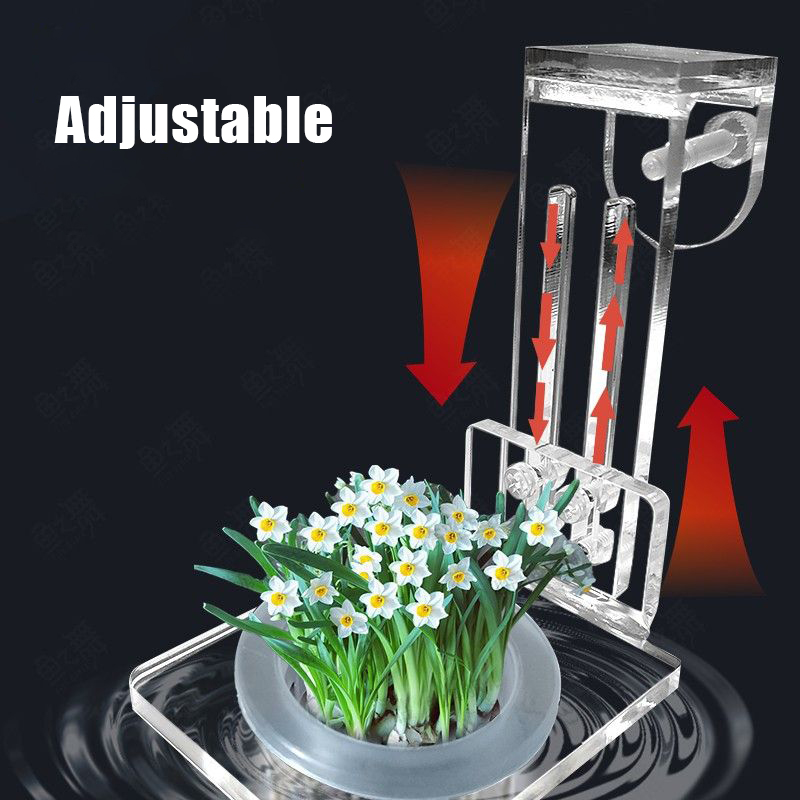 水槽植栽カップ水耕サポートバスケット水草水生植物ホルダー壁掛 - Aquarium Planted Wall のレビューと価格