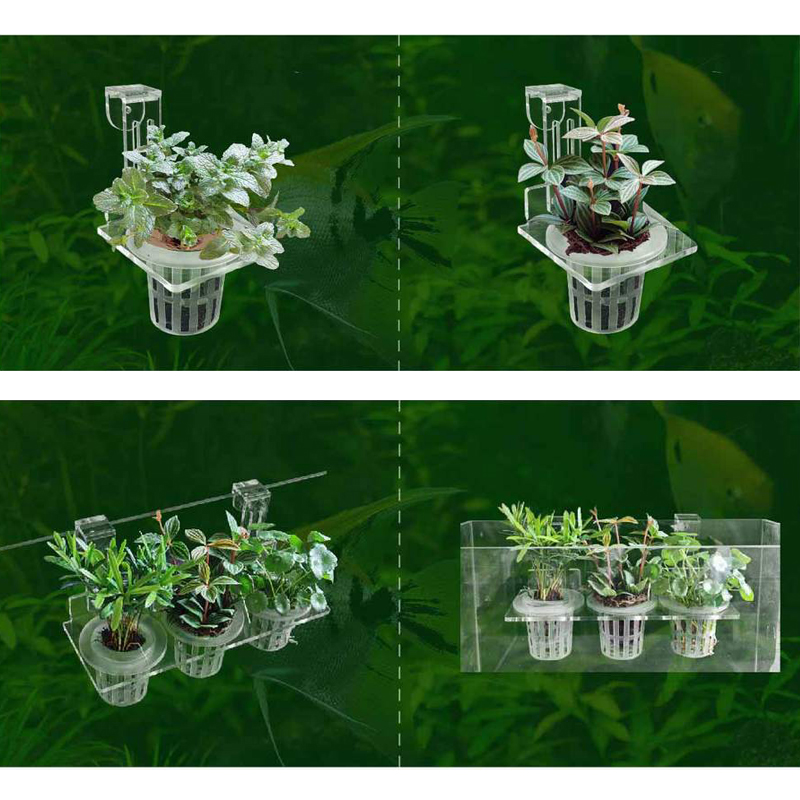 水槽植栽カップ水耕サポートバスケット水草水生植物ホルダー壁掛 - Aquarium Planted Wall のレビューと価格