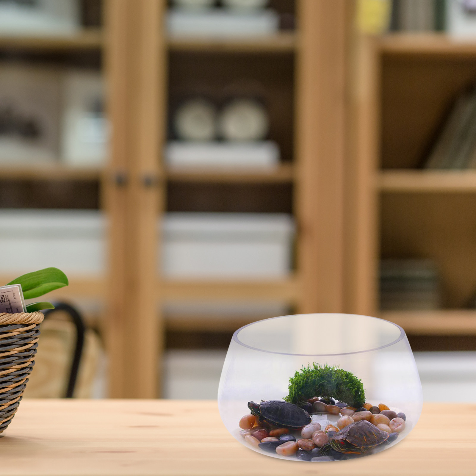 小型丸型透明ガラス製金魚鉢ミニ水槽、金魚や水草用テラリウム、 - Planted Aquarium Bowl のレビューと価格