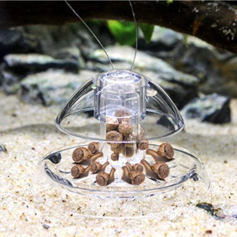 1 個水槽水族館クリーナーカタツムリトラップキャッチャー植物 - Aquarium Plant Utensils のレビューと価格