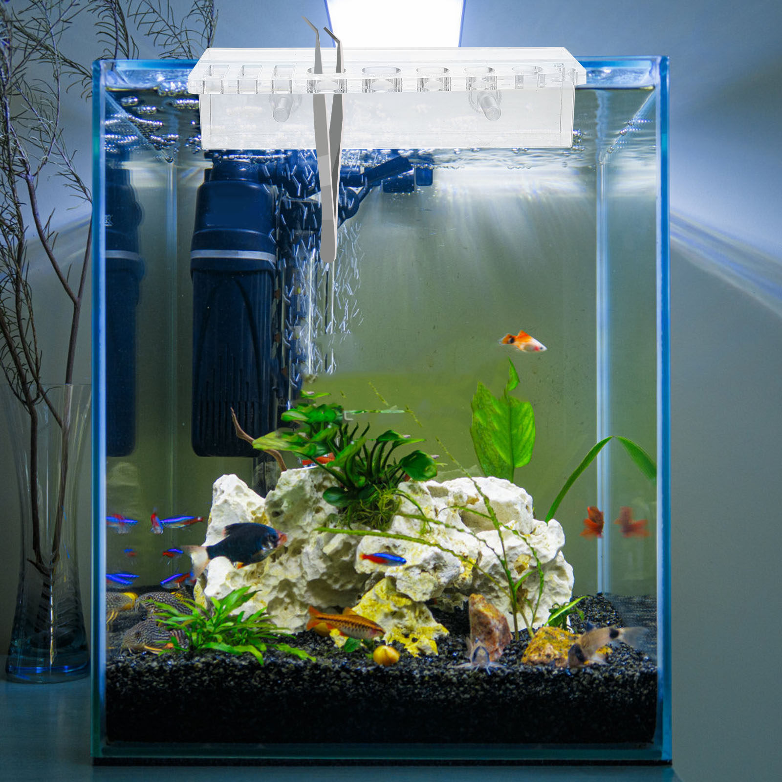 水槽ツールホルダー アクリル製水槽収納ラック 壁掛け式 水草 - Aquarium Planted Wall のレビューと価格