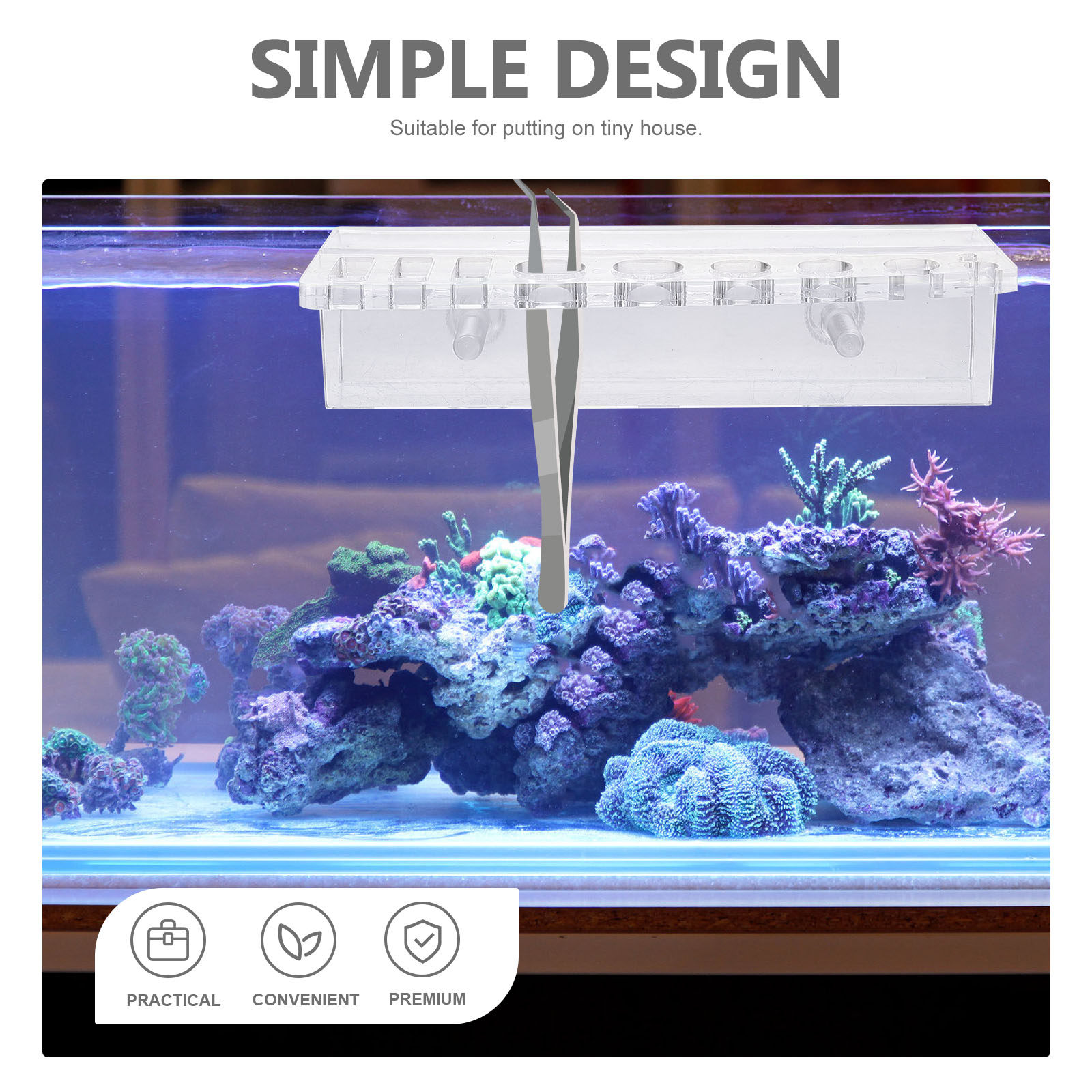 水槽ツールホルダー アクリル製水槽収納ラック 壁掛け式 水草 - Aquarium Planted Wall のレビューと価格