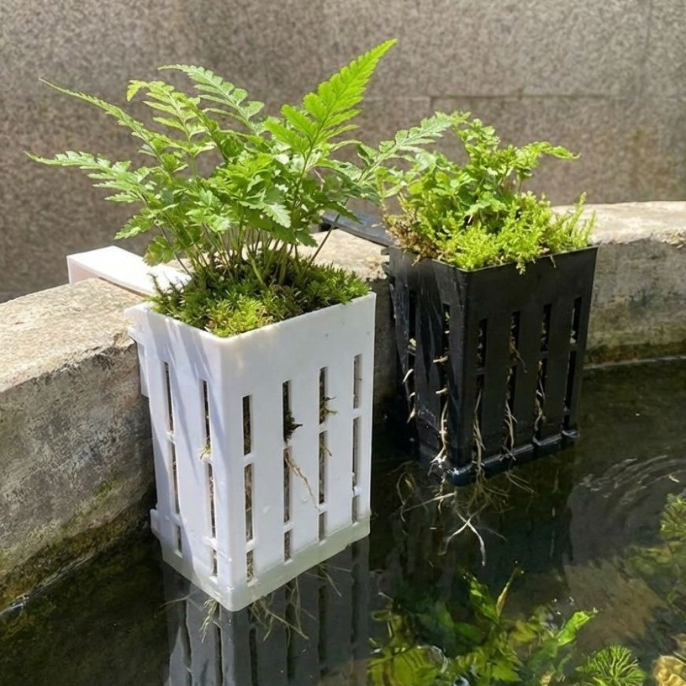 壁掛け水槽用植物バスケット プラスチック水耕栽培プランター  - Aquarium Planted Wall のレビューと価格