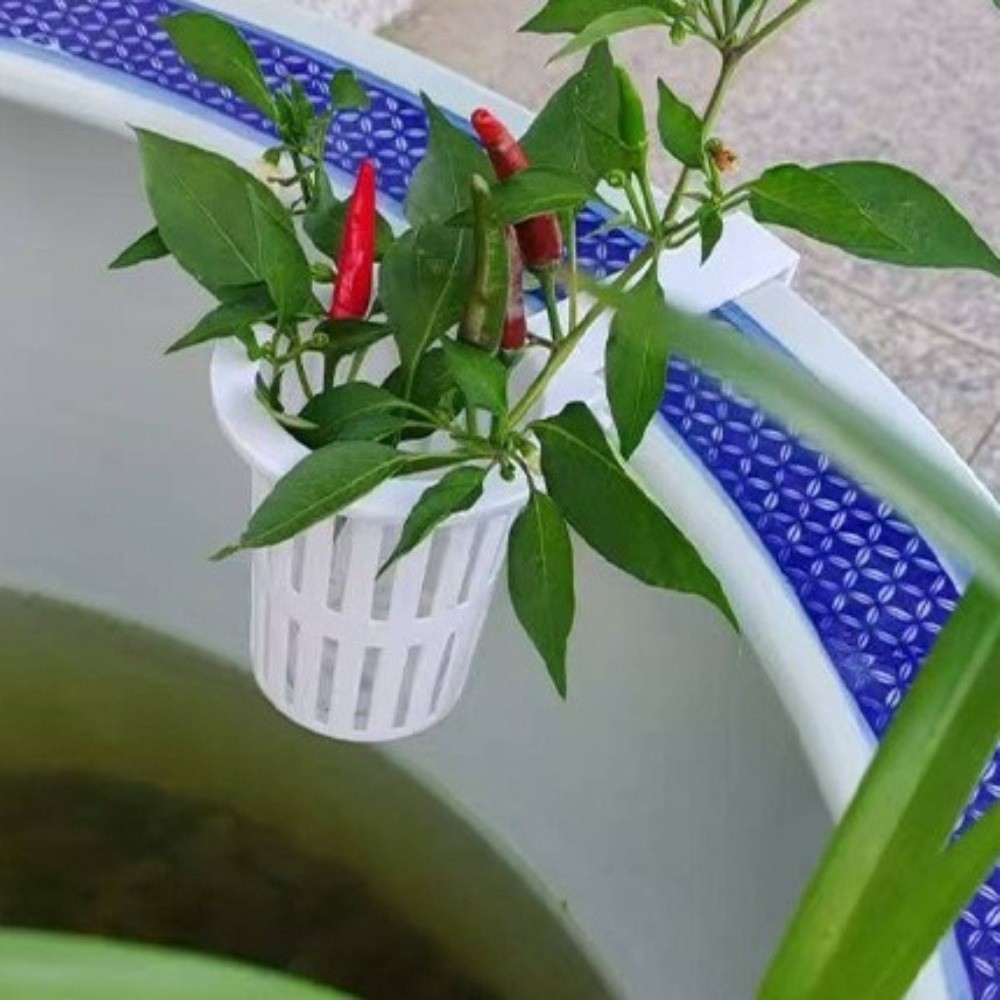 壁掛け水槽用植物バスケット プラスチック水耕栽培プランター  - Aquarium Planted Wall のレビューと価格