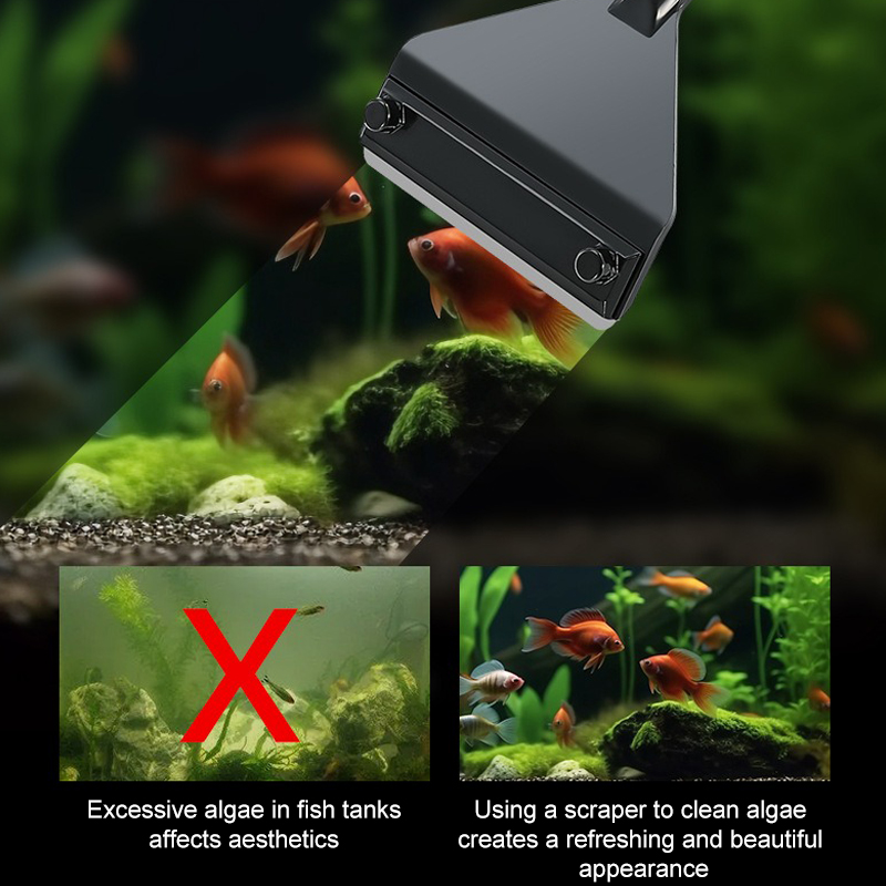 水族館藻類除去剤アルミ合金ステンレス鋼スクレーパーブレード水 - Aquarium Plant Utensils のレビューと価格