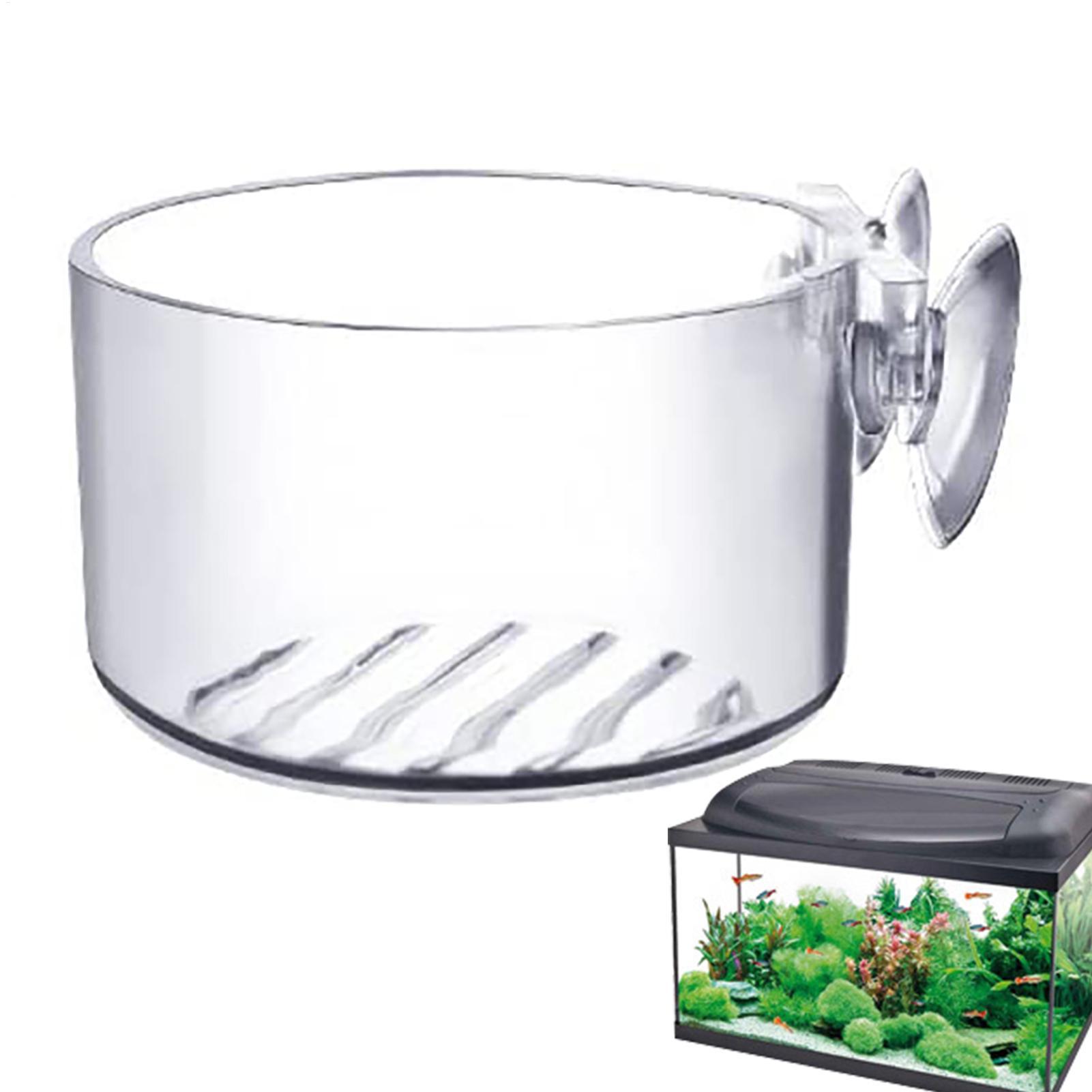 水槽装飾植物カップポットアクリル水生植物耐久性のあるカップ強 - Aquarium Plant Utensils のレビューと価格