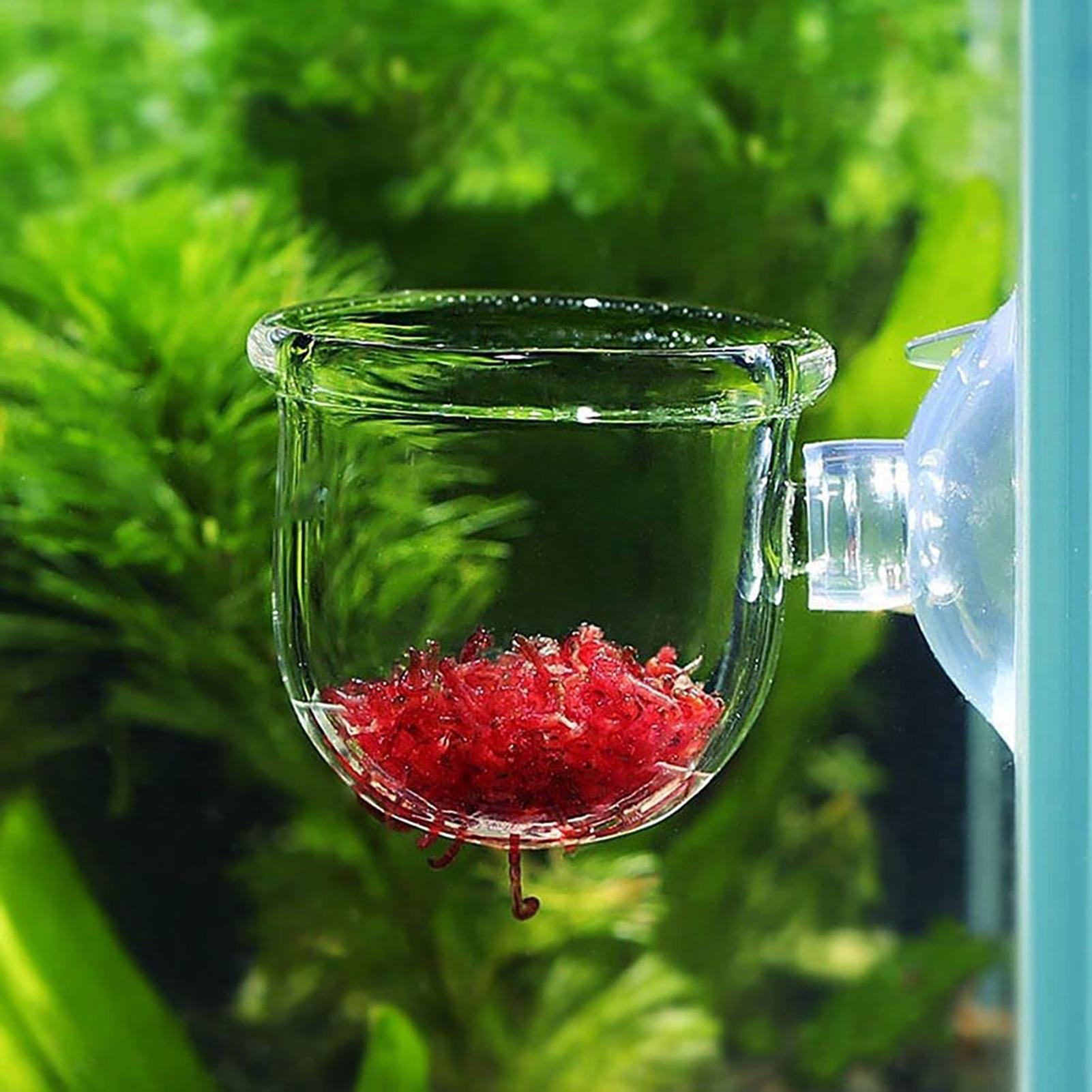 水槽装飾植物カップポットアクリル水生植物耐久性のあるカップ強 - Aquarium Plant Utensils のレビューと価格