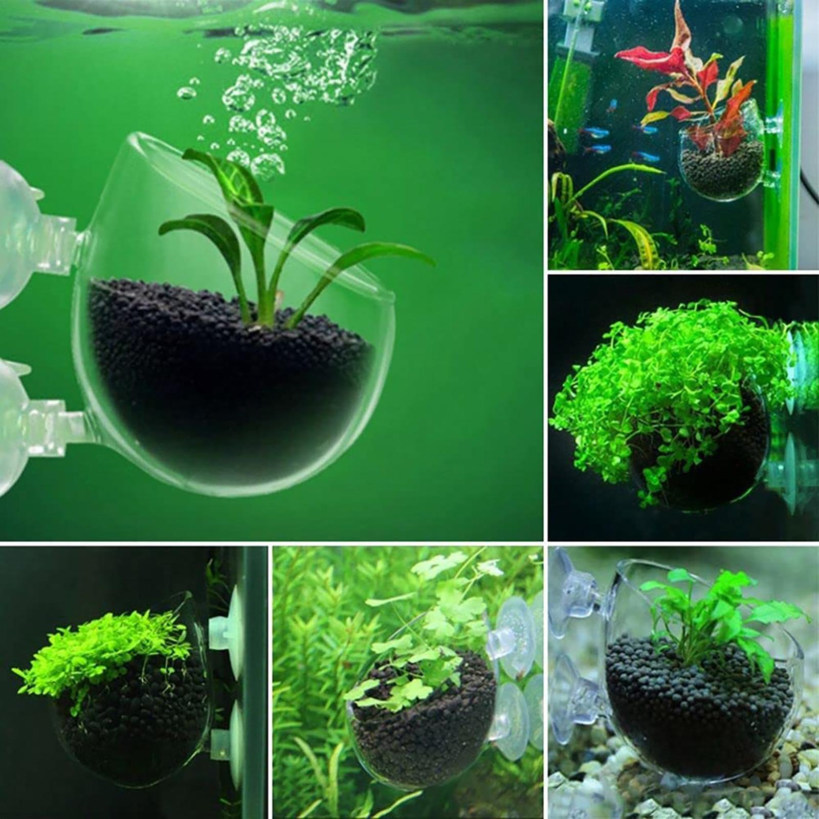 水槽装飾植物カップポットアクリル水生植物耐久性のあるカップ強 - Aquarium Plant Utensils のレビューと価格