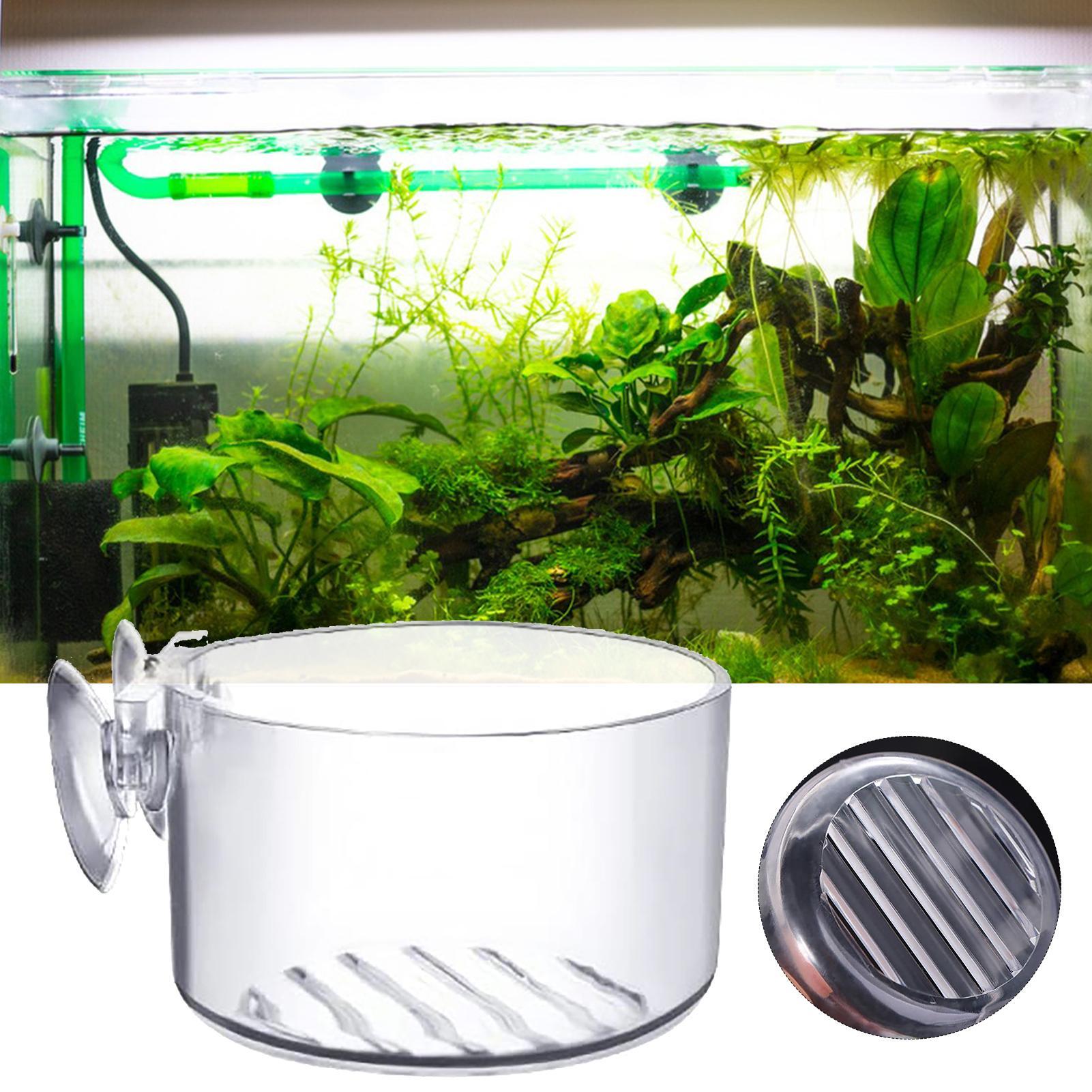 水槽装飾植物カップポットアクリル水生植物耐久性のあるカップ強 - Aquarium Plant Utensils のレビューと価格