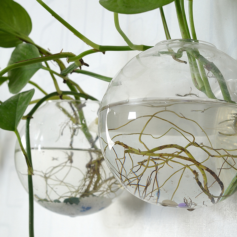 壁掛けアクリル水槽プレキシガラス水槽花瓶フラワーオーナメント - Planted Aquarium Bowl のレビューと価格