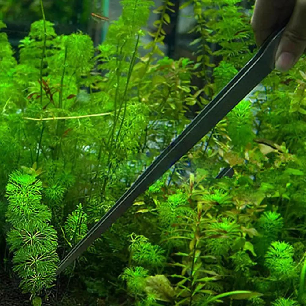 水族館のメンテナンス用のステンレス鋼ピンセット、27cm、ユ - Aquarium Plant Utensils のレビューと価格