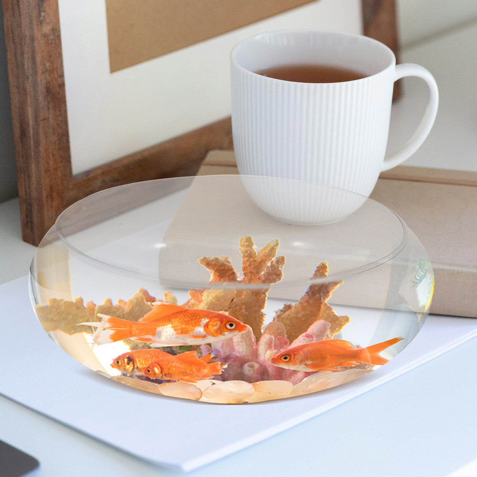ガラス製魚鉢 小型水槽 デスクトップ水槽 透明金魚鉢 水耕栽 - Planted Aquarium Bowl のレビューと価格