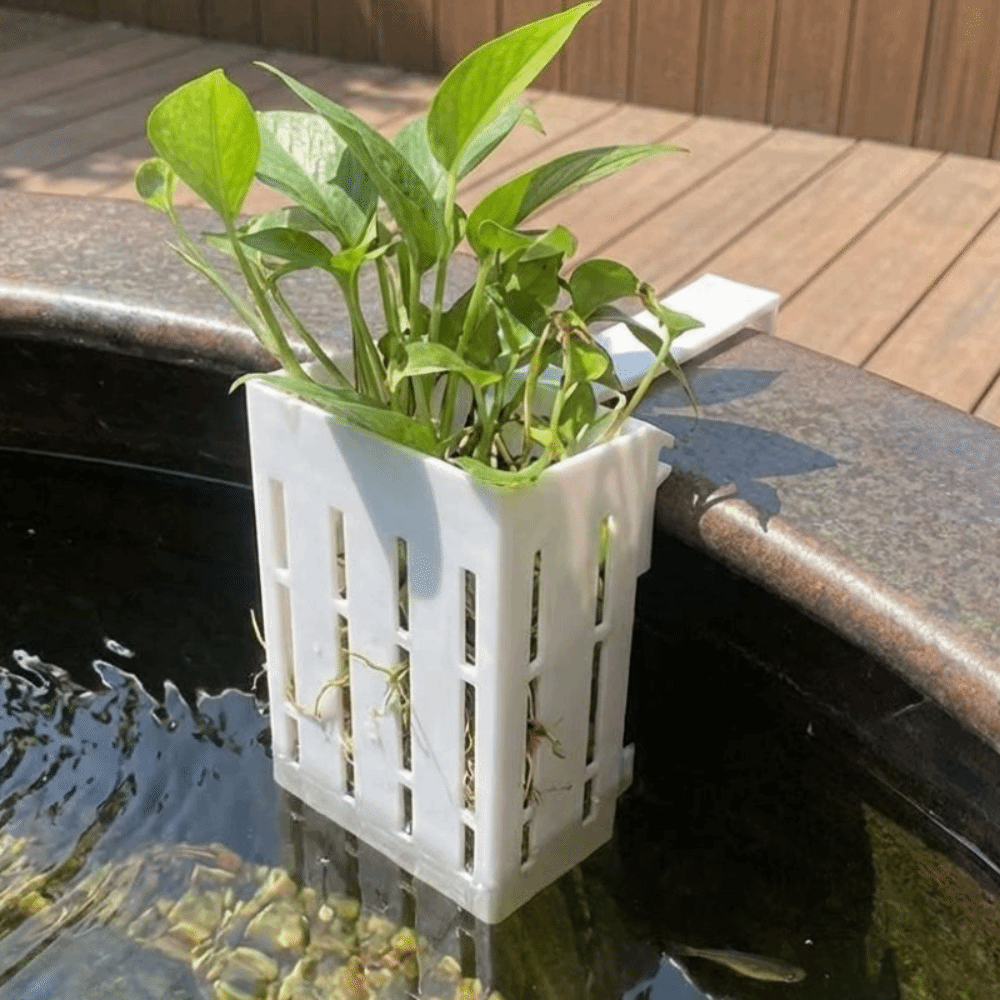 壁掛け水槽用植物バスケット 水耕栽培プランター プランターコ - Aquarium Planted Wall のレビューと価格