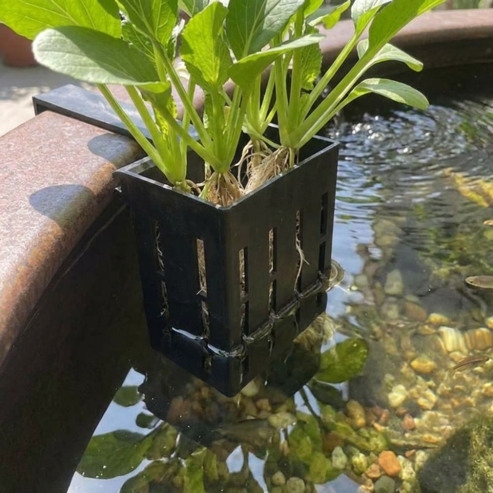 壁掛け水槽用植物バスケット 水耕栽培プランター プランターコ - Aquarium Planted Wall のレビューと価格