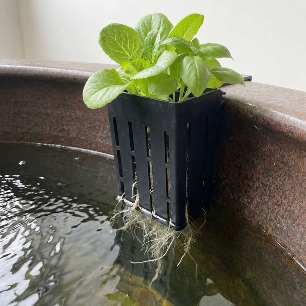壁掛け水槽用植物バスケット 水耕栽培プランター プランターコ - Aquarium Planted Wall のレビューと価格