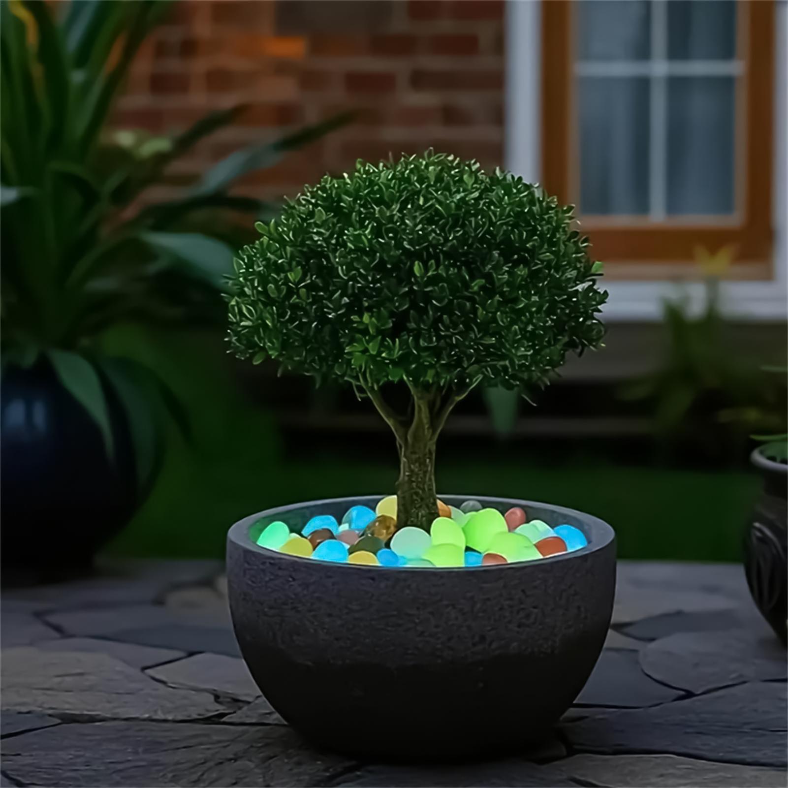 造園用石 20個入り 1.8インチ カラフルな光る小石 川石 - Planted Aquarium With Rocks のレビューと価格