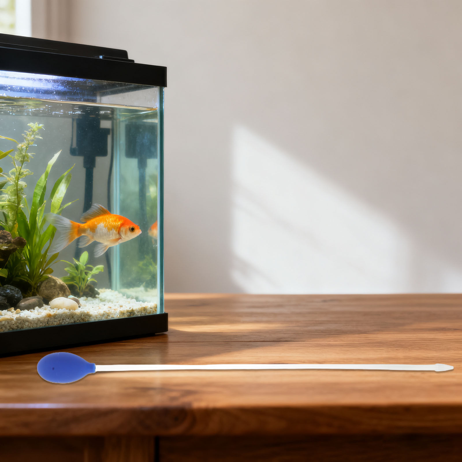 サンゴ魚水槽フィーダー給餌ツール水生植物水槽デバイスチューブ - Aquarium Plant Utensils のレビューと価格