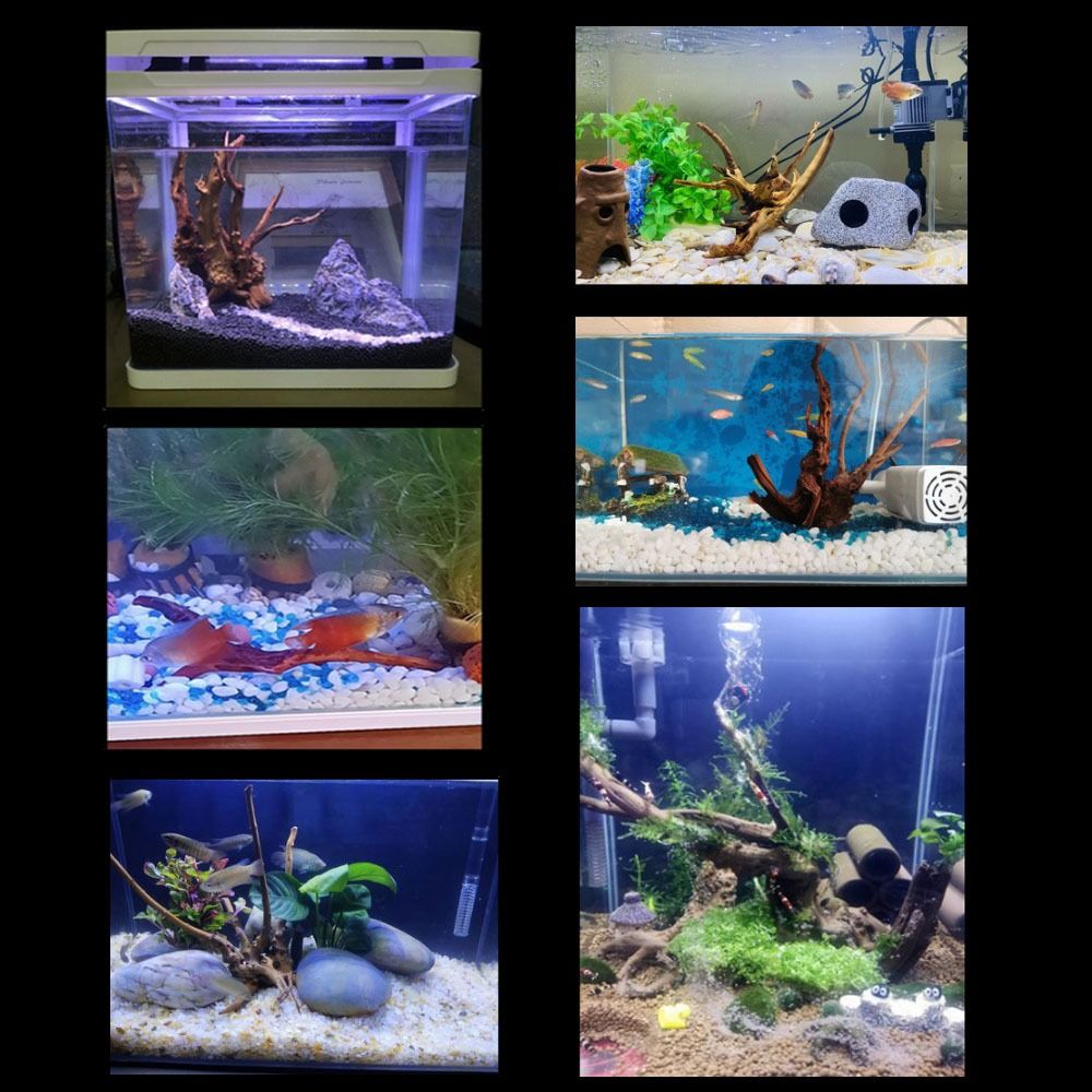 20-25CM大型水槽流木天然魚タンク植物装飾ツリーフィッシ - Planted Aquarium Bowl のレビューと価格